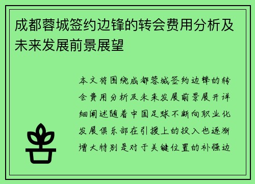 成都蓉城签约边锋的转会费用分析及未来发展前景展望