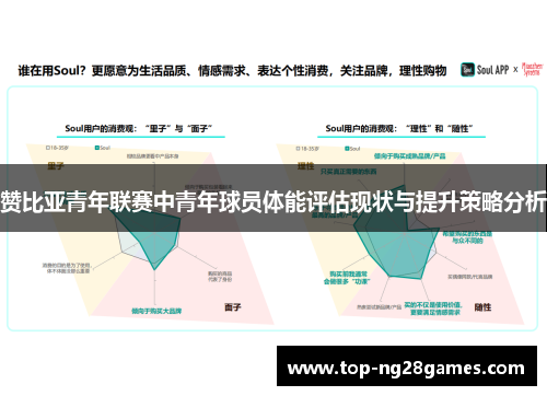 赞比亚青年联赛中青年球员体能评估现状与提升策略分析