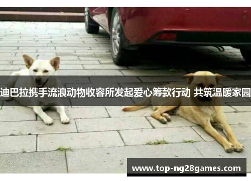 迪巴拉携手流浪动物收容所发起爱心筹款行动 共筑温暖家园